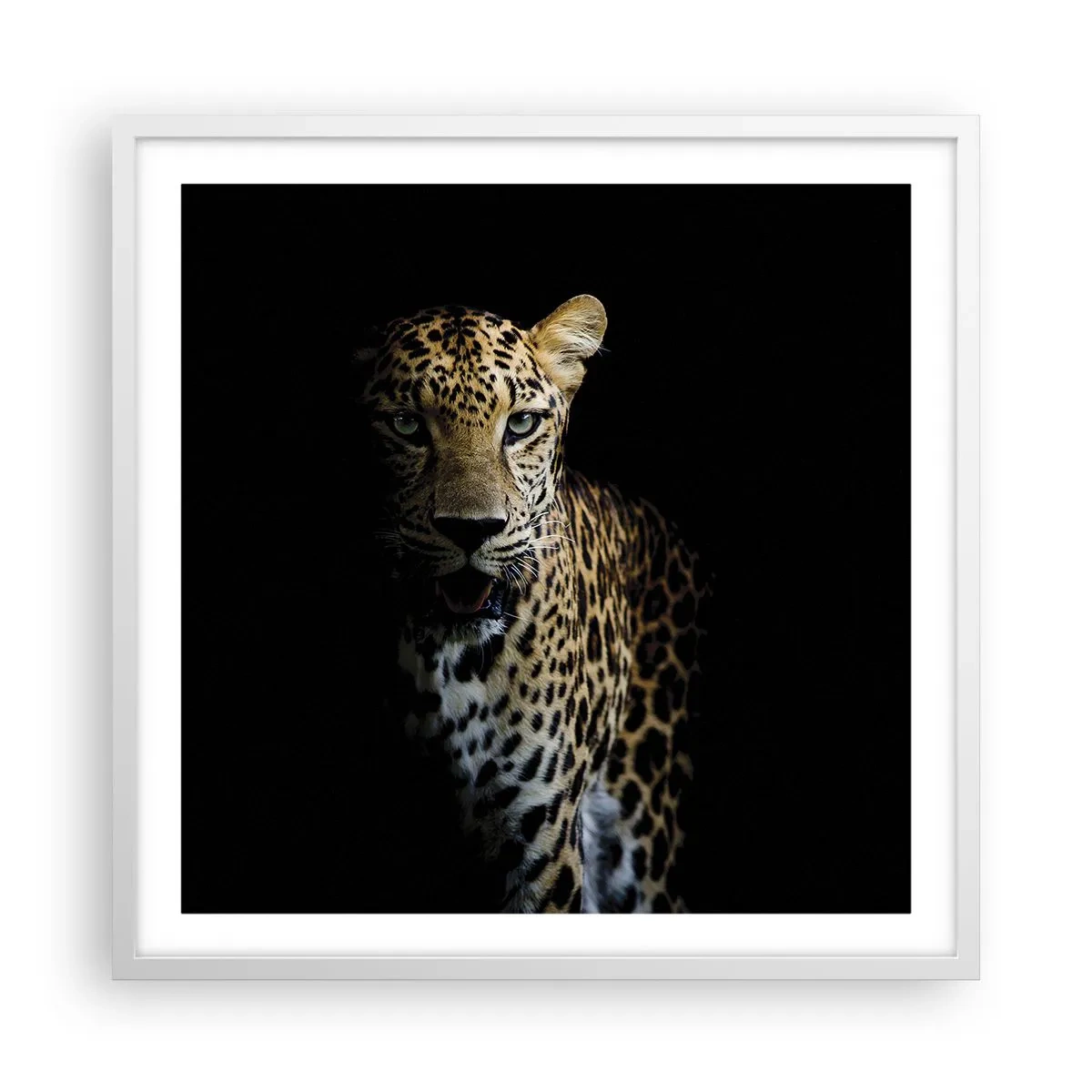 Poster in einem weißen Rahmen - Dunkle Schönheit - 60x60 cm