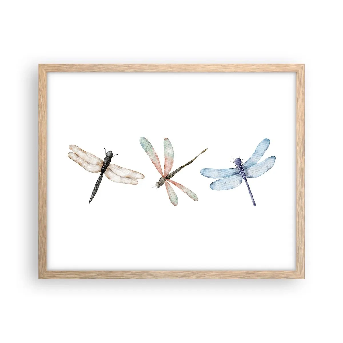 Poster in einem Rahmen aus heller Eiche - Schwerelose Libellen - 50x40 cm
