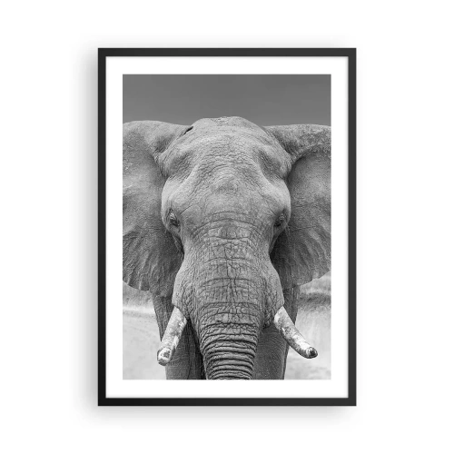 Poster in einem schwarzem Rahmen - Elefant in der Schwarz-Weiß-Kunstfotografie - 50x70cm - Willkommen in meiner Welt - Moderne Wanddekoration für Wohnzimmer und Schlafzimmer ARTTOR