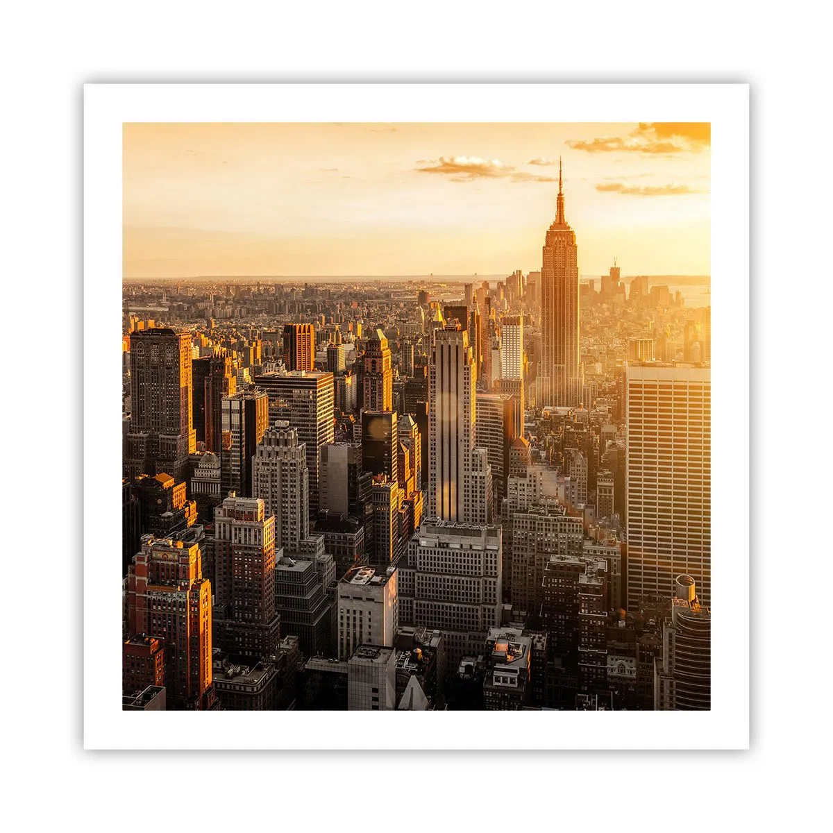 Poster - In der Sonne wachsen - 60x60 cm