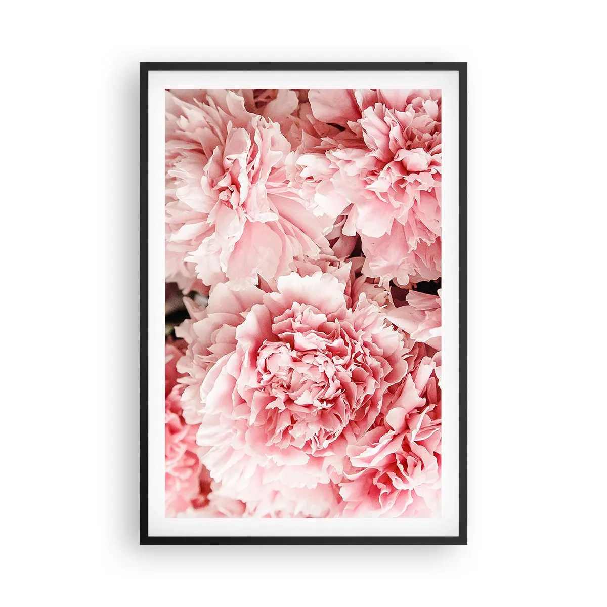 Poster in einem schwarzem Rahmen - Rosa Traum - 61x91 cm