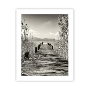 Poster - In der Stille des Grases - 40x50 cm