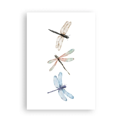 Poster - Schwerelose Libellen - 70x100 cm