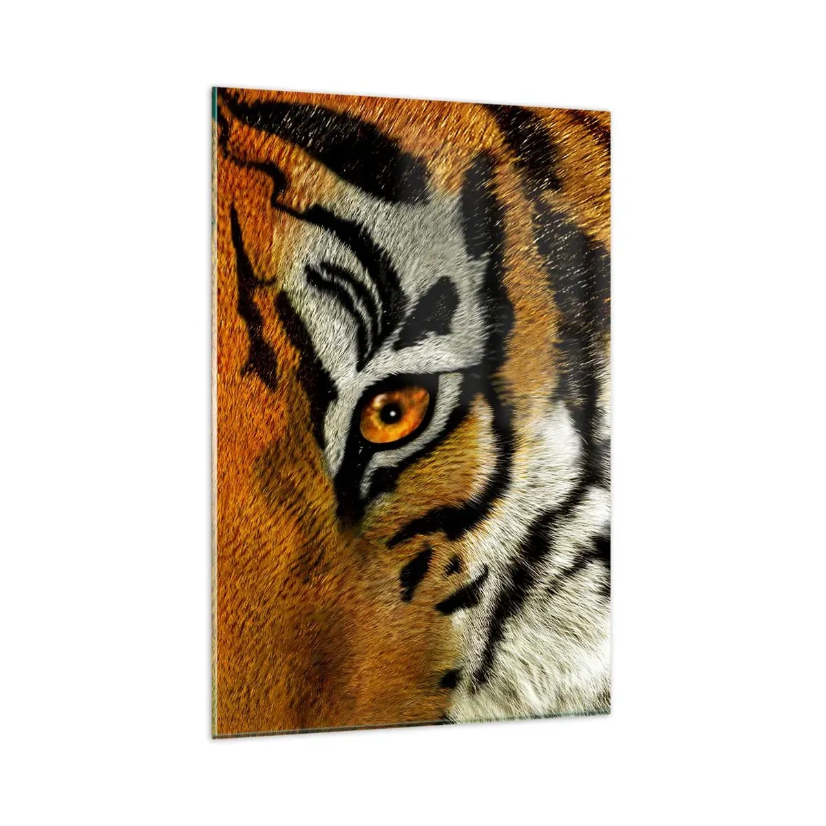 Glasbild - Bild auf glas - Nahaufnahme eines Tigers mit intensivem Blick - 80x120cm - Schrecklich und schön - Moderne Wanddekoration für Wohnzimmer und Schlafzimmer ARTTOR