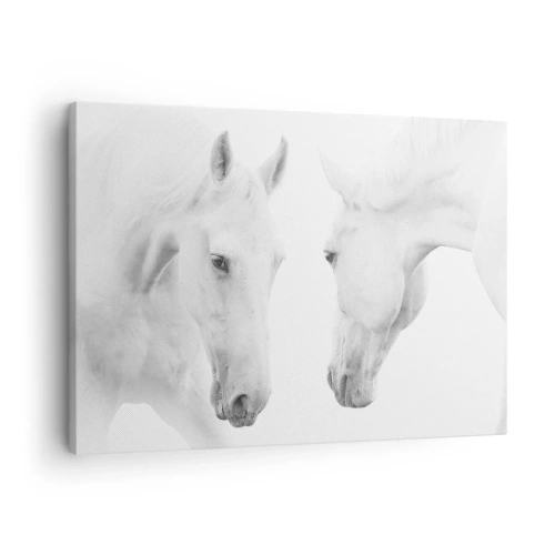 Bild auf Leinwand - Leinwandbild - Ein minimalistisches Porträt zweier weißer Pferde - 70x50cm - Ist das Freundschaft...? - Moderne Wanddekoration für Wohnzimmer und Schlafzimmer ARTTOR