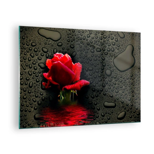 Glasbild - Bild auf glas - Rote Rose mit Wassertropfen auf dunklem Hintergrund - 70x50cm - rot und Schwarz - Moderne Wanddekoration für Wohnzimmer und Schlafzimmer ARTTOR