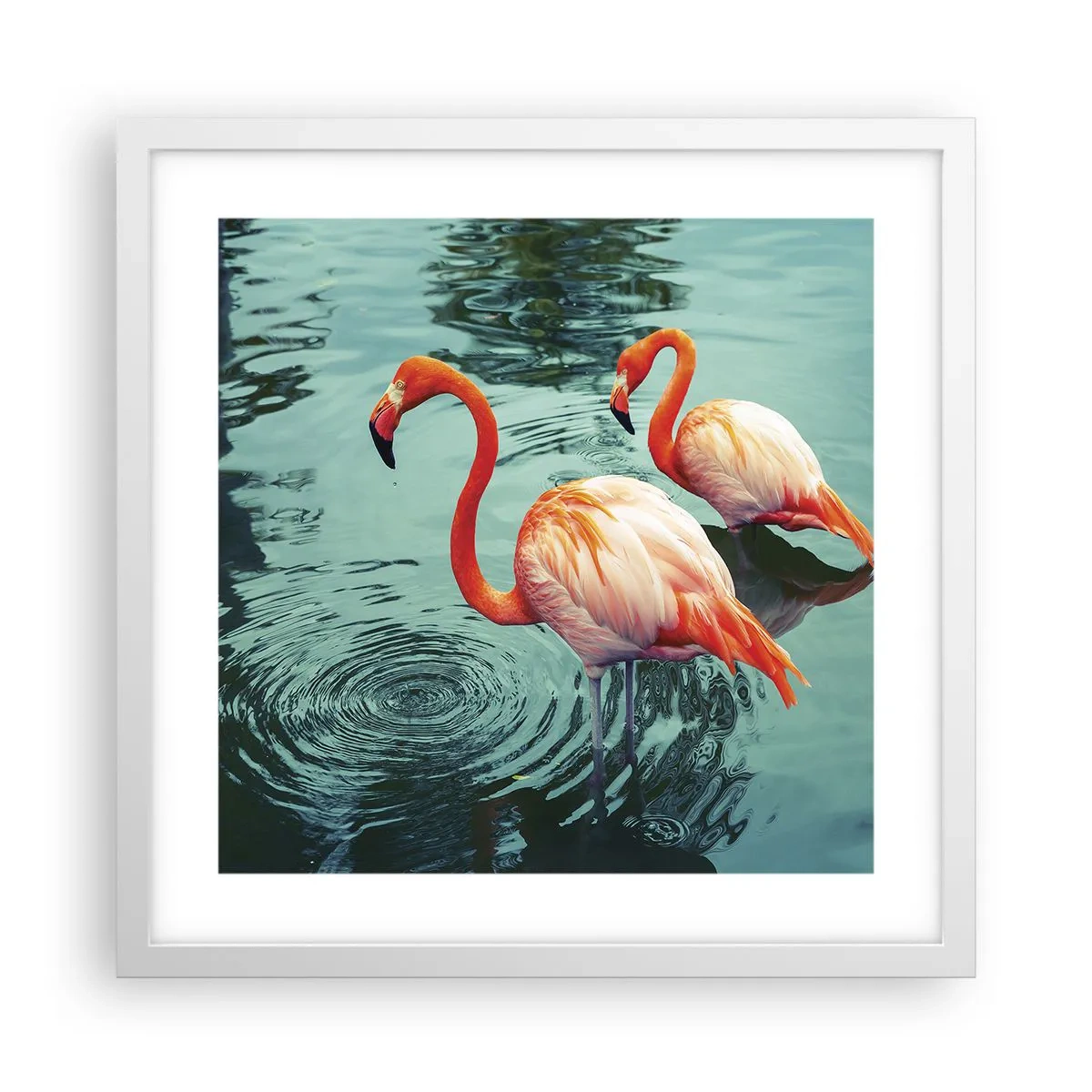 Poster in einem weißen Rahmen - Wir sind jetzt in Mode - 40x40 cm