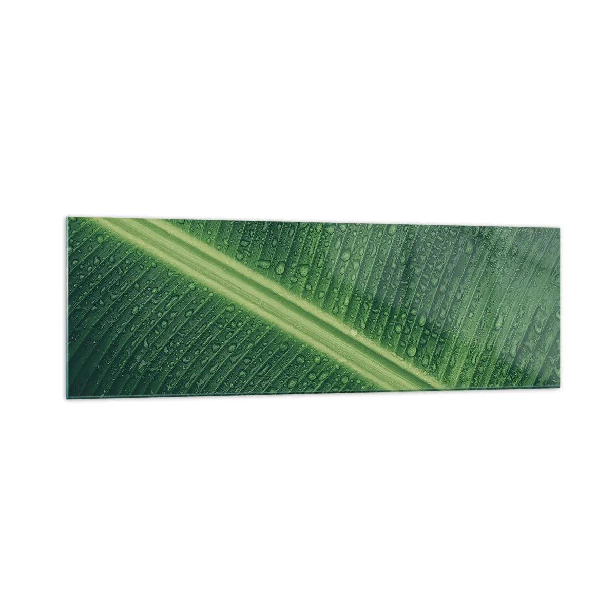 Glasbild - Bild auf glas - Ein grünes Blatt mit Wassertropfen auf der Oberfläche - 160x50cm - Die Struktur des Grüns - Moderne Wanddekoration für Wohnzimmer und Schlafzimmer ARTTOR