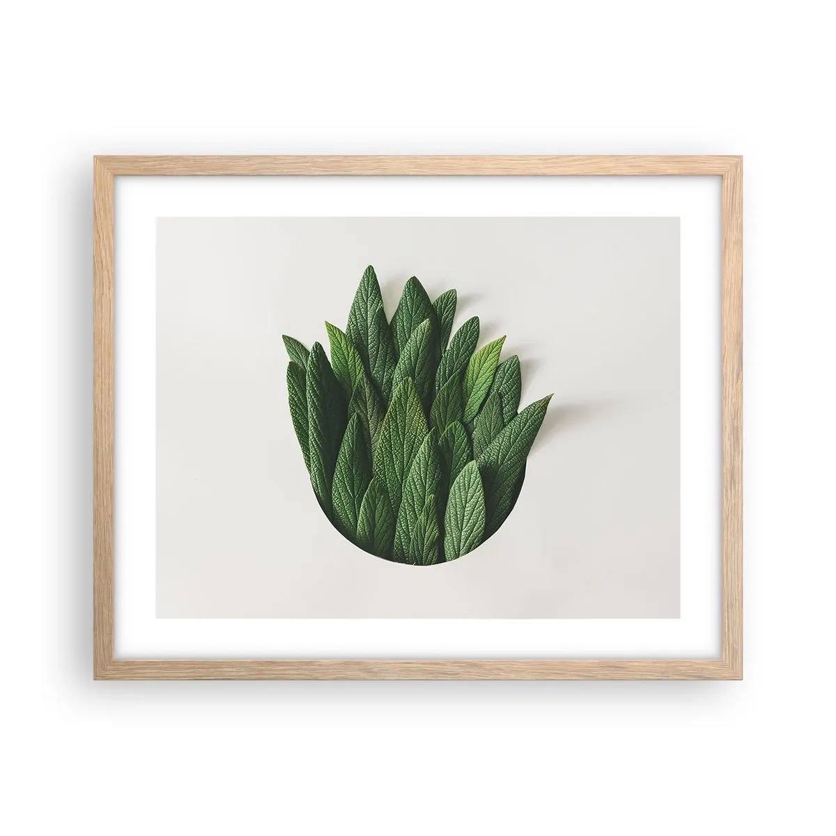 Poster in einem Rahmen aus heller Eiche - Ungebremste Neugier - 50x40 cm