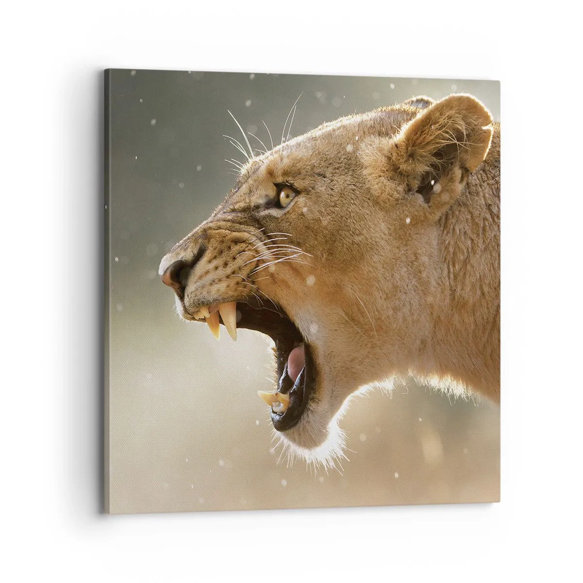 Bild auf Leinwand - Leinwandbild - Versuch, nicht zuzuhören - 70x70 cm