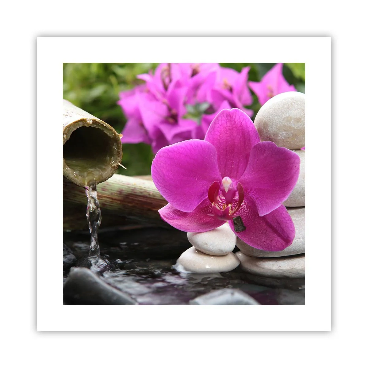 Poster - Du ruhst dich schon aus - 40x40 cm