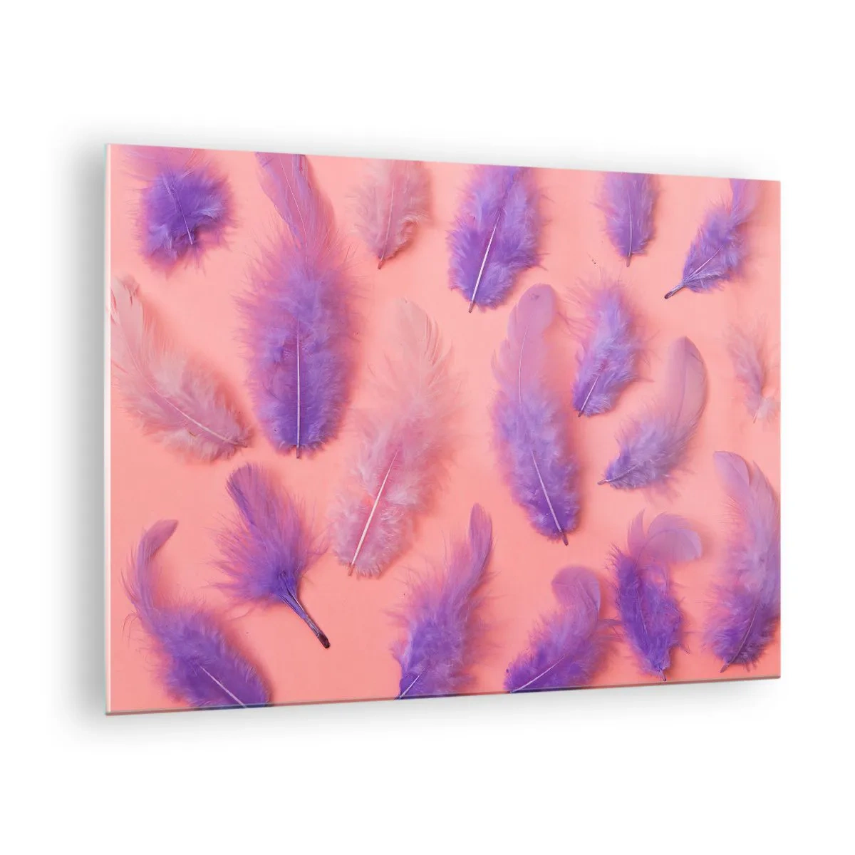 Glasbild - Bild auf glas - Lila Federn auf rosa Hintergrund in einer zarten Komposition - 70x50cm - Lila Vogel der Begierde - Moderne Wanddekoration für Wohnzimmer und Schlafzimmer ARTTOR