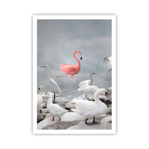 Poster - Wie kam ich hier hin? - 70x100 cm