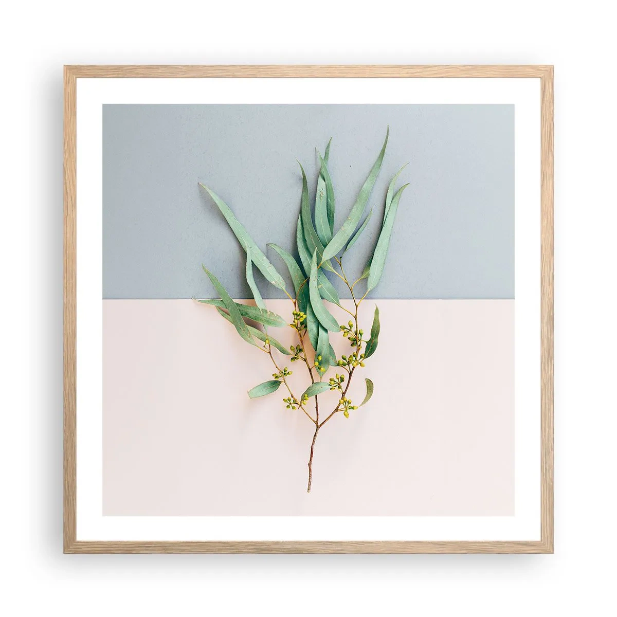 Poster in einem Rahmen aus heller Eiche - Pastellige Subtilität - 60x60 cm