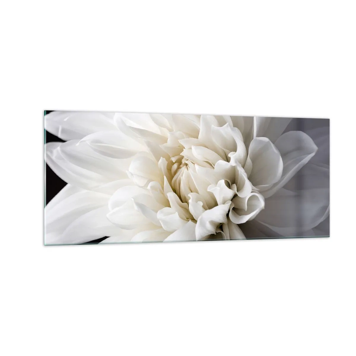 Glasbild - Bild auf glas - Der Morgen der Braut - 100x40 cm