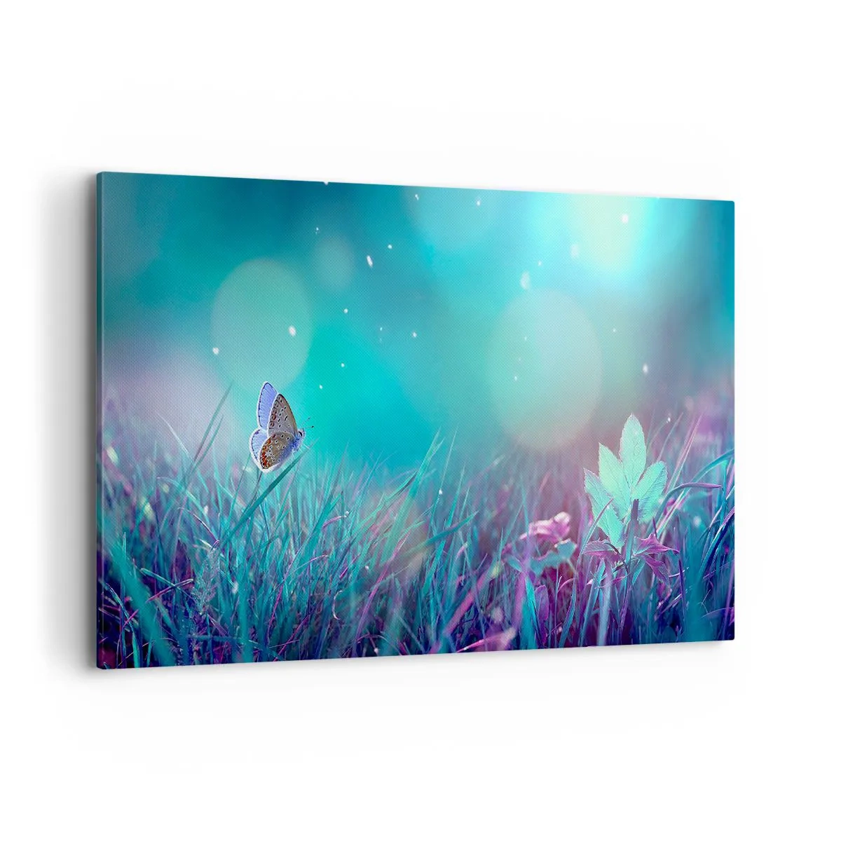 Bild auf Leinwand - Leinwandbild - Ein Schmetterling auf dem Gras im Licht verschwommener Reflexionen - 120x80cm - Das geheime Leben der Wiese - Moderne Wanddekoration für Wohnzimmer und Schlafzimmer ARTTOR