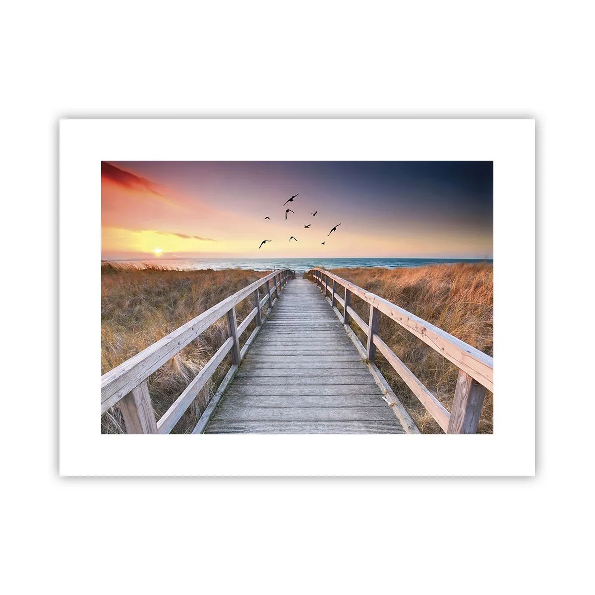 Poster - Der Raum für Auffliegen - 40x30 cm