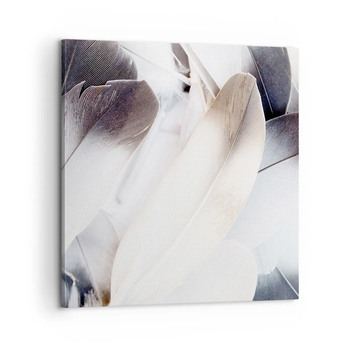 Bild auf Leinwand - Leinwandbild - Fast engelhaft - 60x60 cm