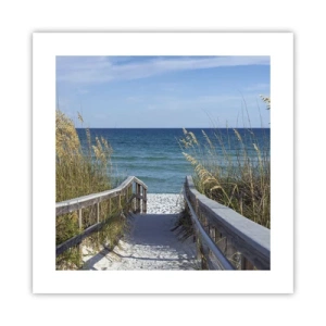 Poster - In der Sonne, im Wind - 40x40 cm