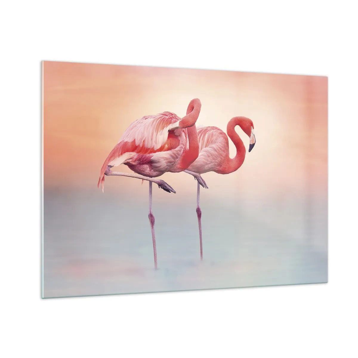 Glasbild - Bild auf glas - Zwei Flamingos stehen im Wasser vor einem pastellfarbenen Sonnenuntergangshintergrund - 100x70cm - Die Farbe der untergehenden Sonne - Moderne Wanddekoration für Wohnzimmer und Schlafzimmer ARTTOR