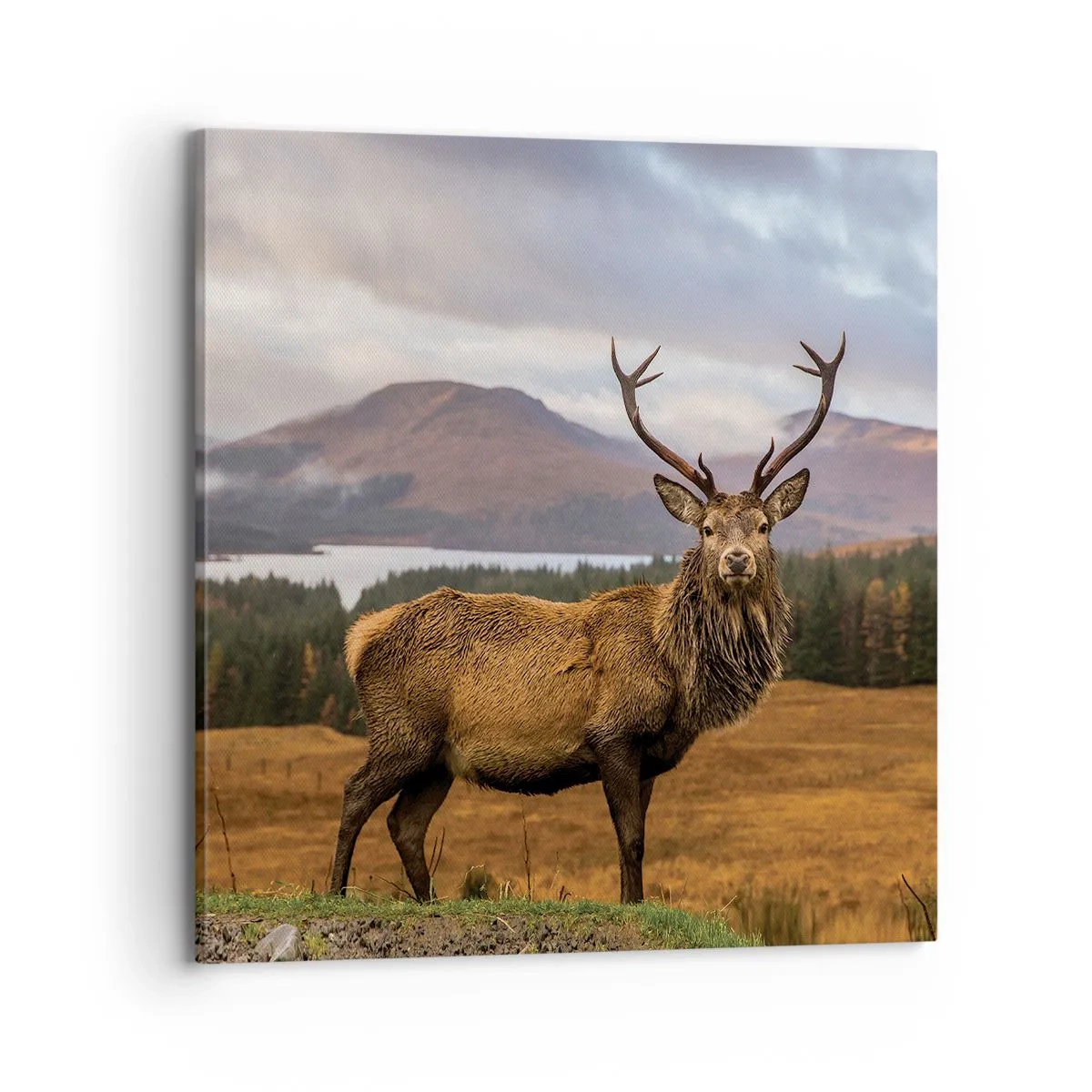 Bild auf Leinwand - Leinwandbild - Die Majestät der Natur - 70x70 cm