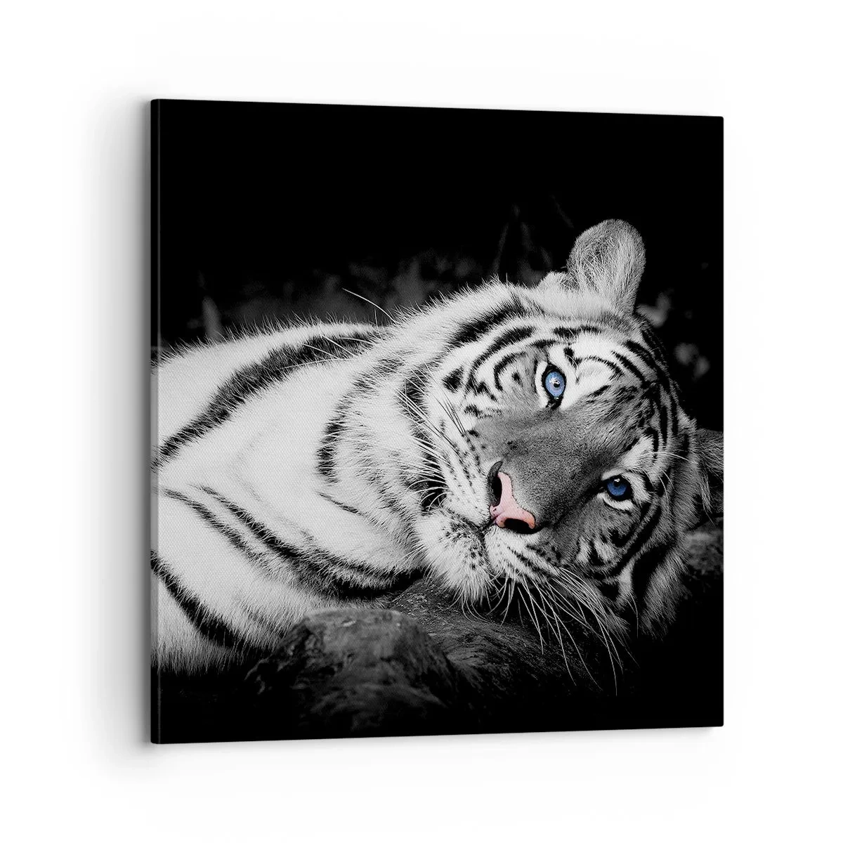 Bild auf Leinwand - Leinwandbild - Wildnis und Frieden - 70x70 cm