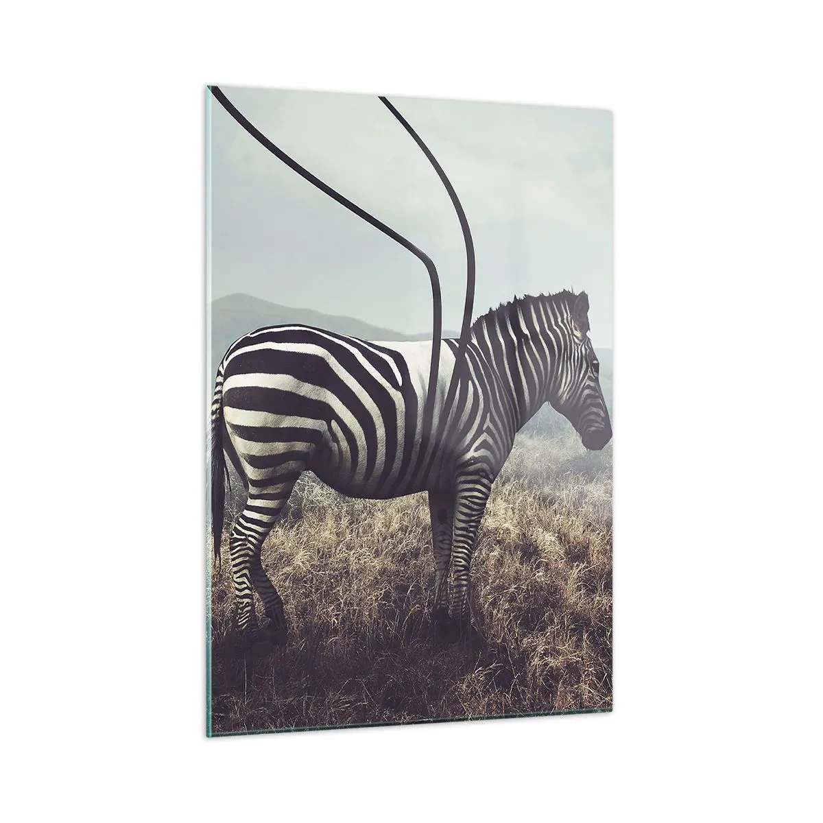 Glasbild - Bild auf glas - Zebra auf Grashintergrund mit surrealen Antennendetails - 50x70cm - Achtung! Fehler - Moderne Wanddekoration für Wohnzimmer und Schlafzimmer ARTTOR