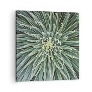 Bild auf Leinwand - Leinwandbild - Ein Star ist geboren - 60x60 cm