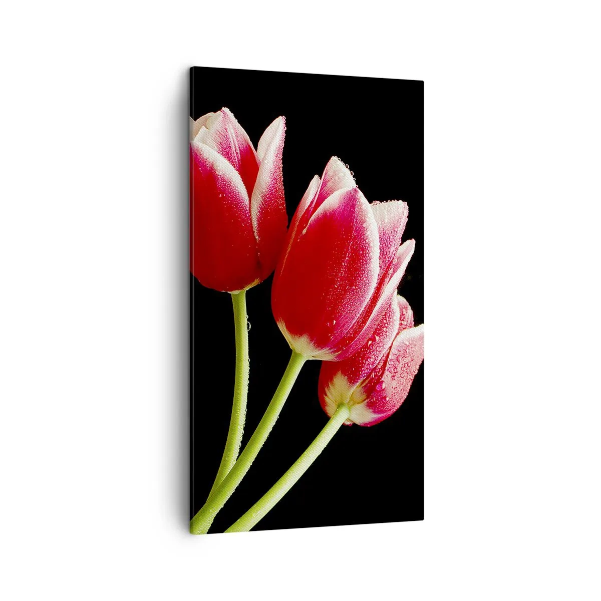 Bild auf Leinwand - Leinwandbild - Ein Versprechen der reinen Liebe - 45x80 cm