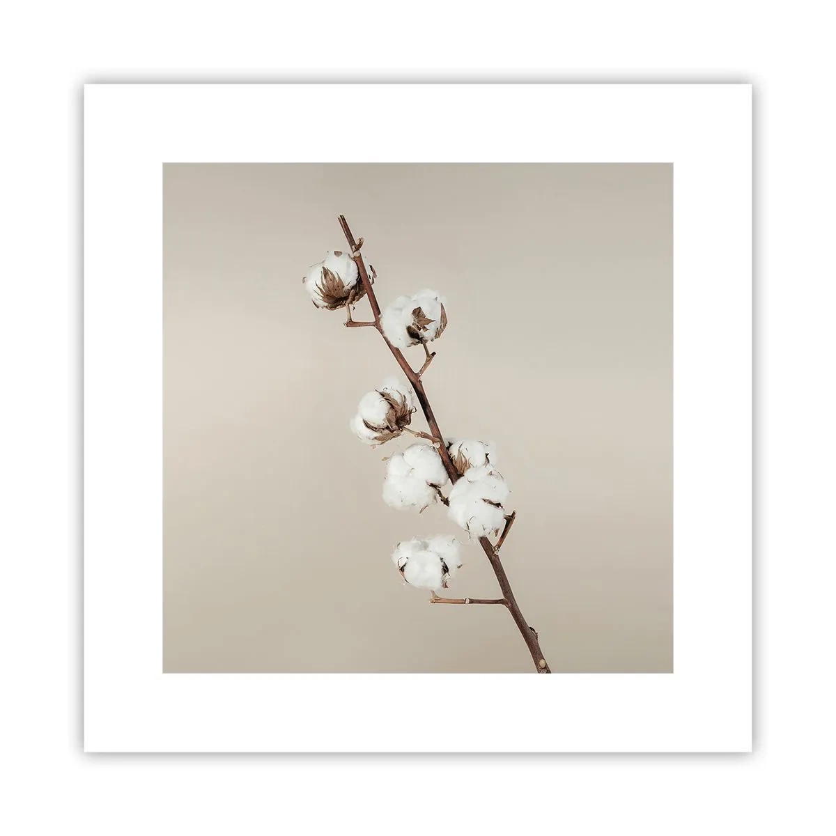 Poster - An der Quelle der Weichheit - 30x30 cm