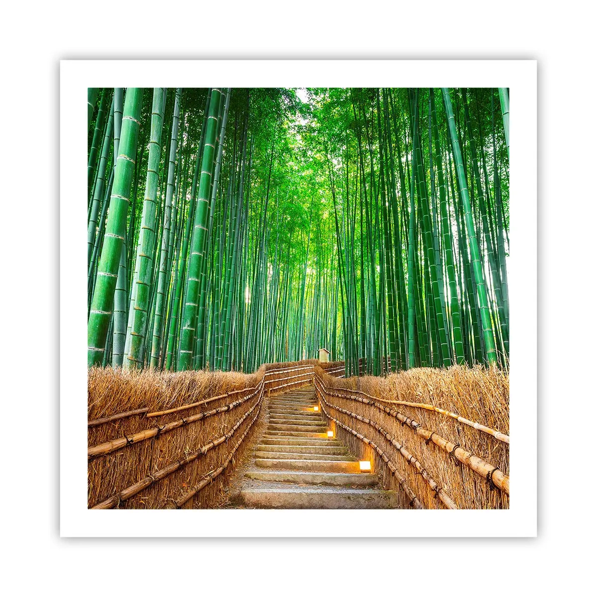 Poster - Die Essenz der asiatischen Natur - 60x60 cm