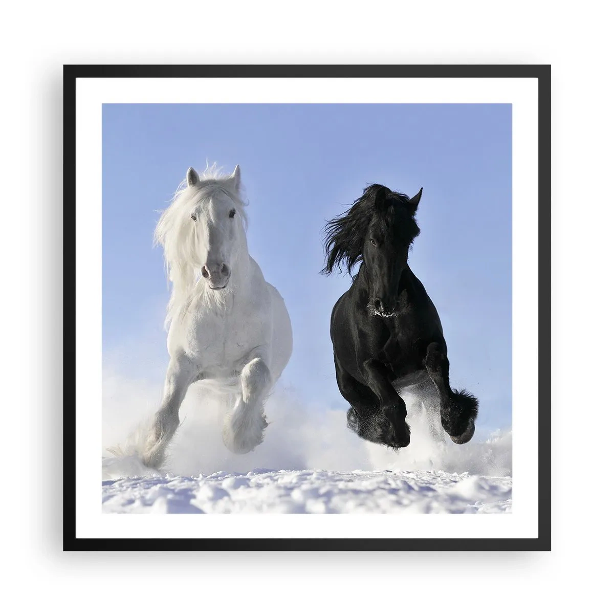 Poster in einem schwarzem Rahmen - Schwarz-Weiß-Galopp - 60x60 cm