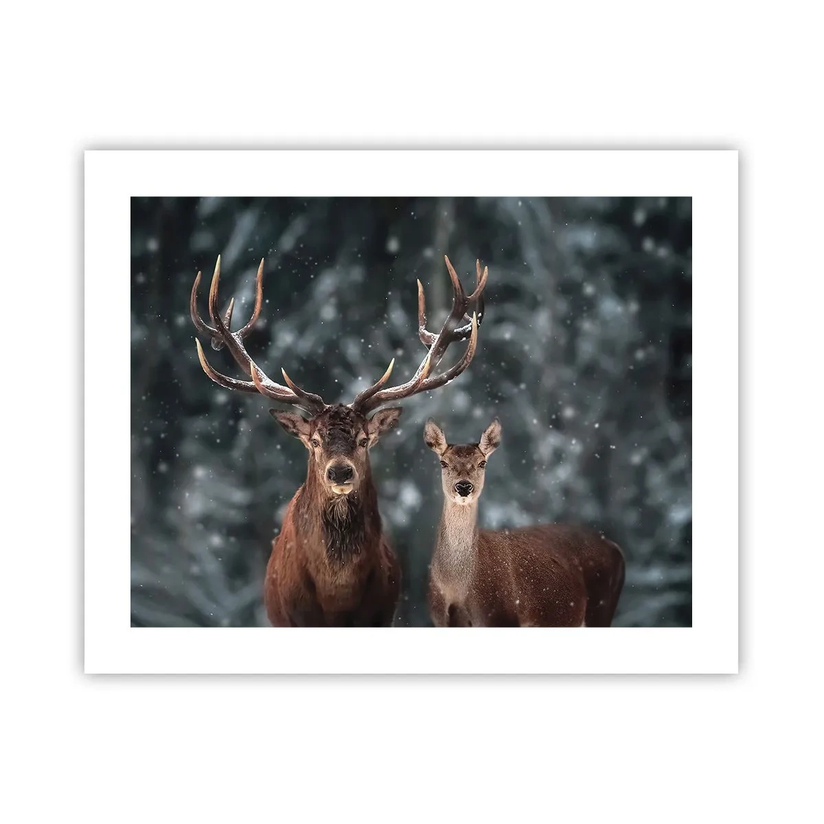 Poster - Herr des Waldes mit seiner Frau - 50x40 cm