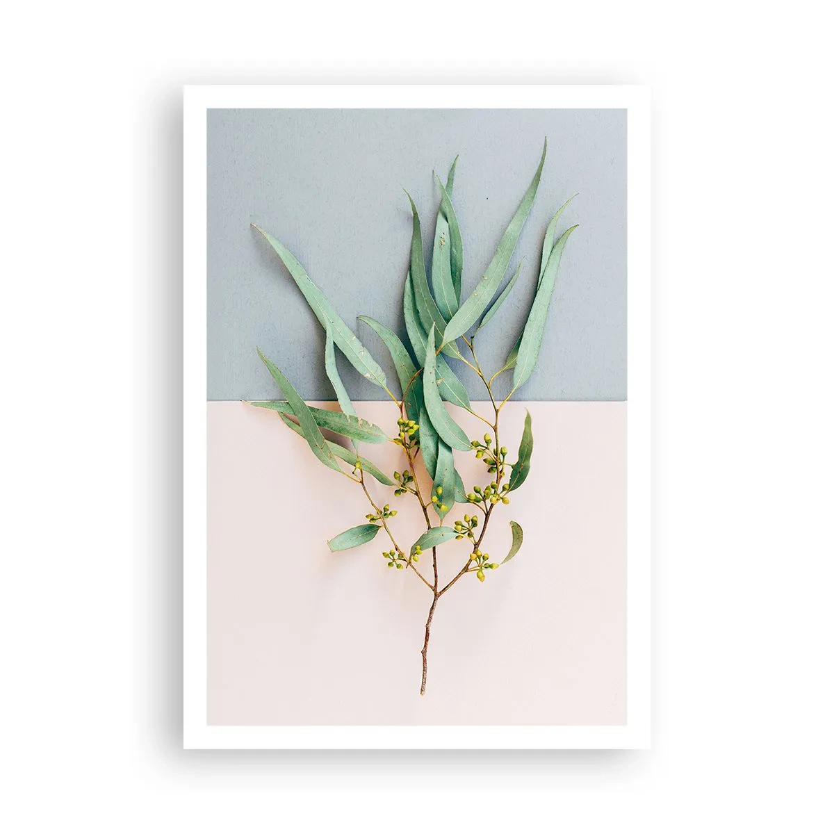 Poster - Pastellige Subtilität - 70x100 cm