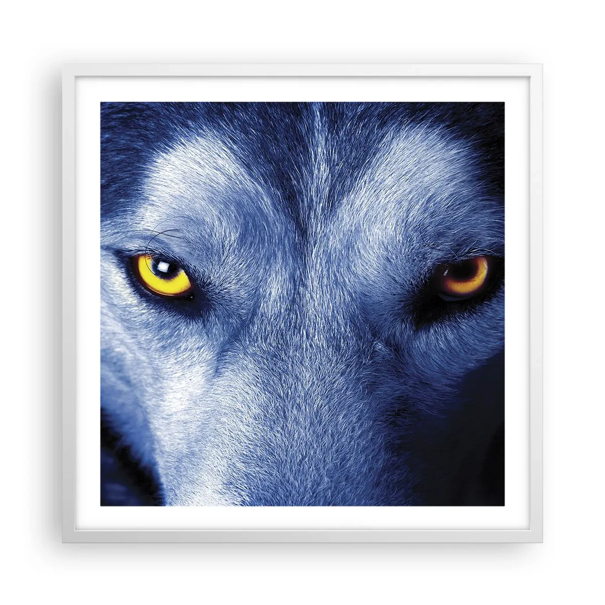 Poster in einem weißen Rahmen - Faszinierender Blick - 60x60 cm
