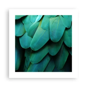 Poster - Papageienartige Präzision - 40x40 cm