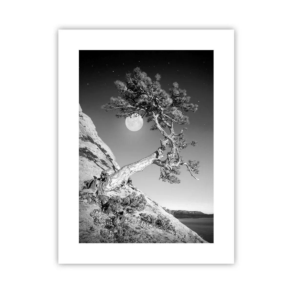 Poster - Siegreiche Kämpferin - 30x40 cm