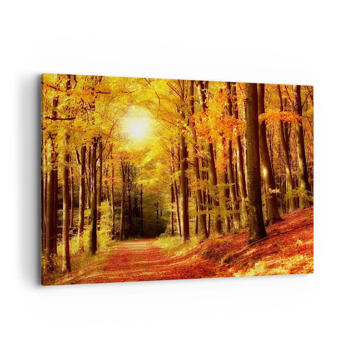 Bild auf Leinwand - Leinwandbild - Herbstwald mit Sonnenstrahlen, die durch die Bäume scheinen - 100x70cm - Goldener Herbst auf einer Forststraße - Moderne Wanddekoration für Wohnzimmer und Schlafzimmer ARTTOR