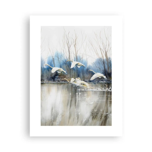 Poster - Wie im Märchen von den wilden Schwänen - 30x40 cm