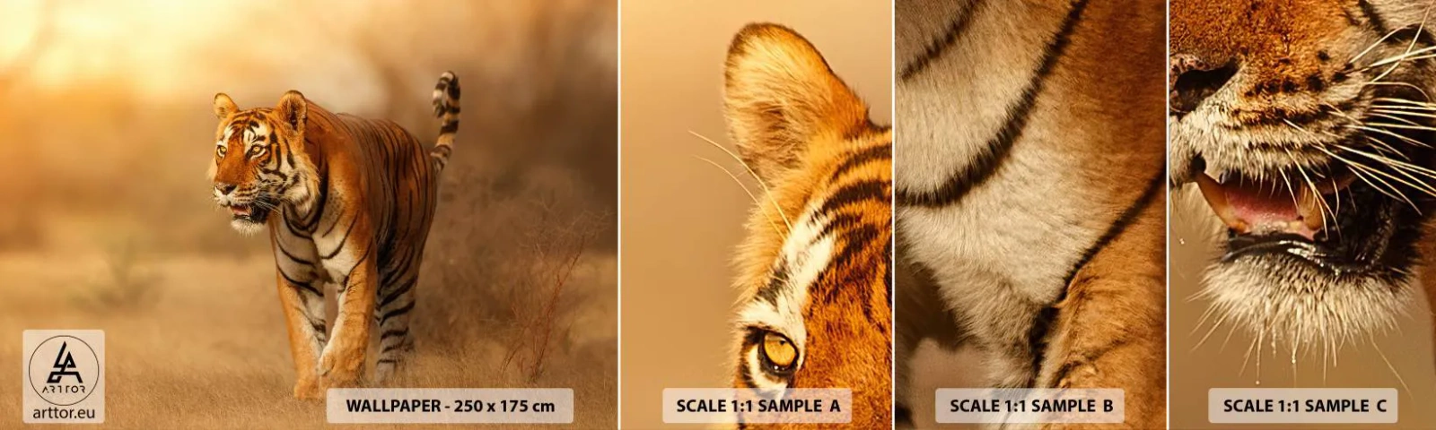 Fototapeten Muster Selbstklebend Deluxe Sticker - Vor dem Angriff - Tiere, Tiger, Afrika - 100x30 cm