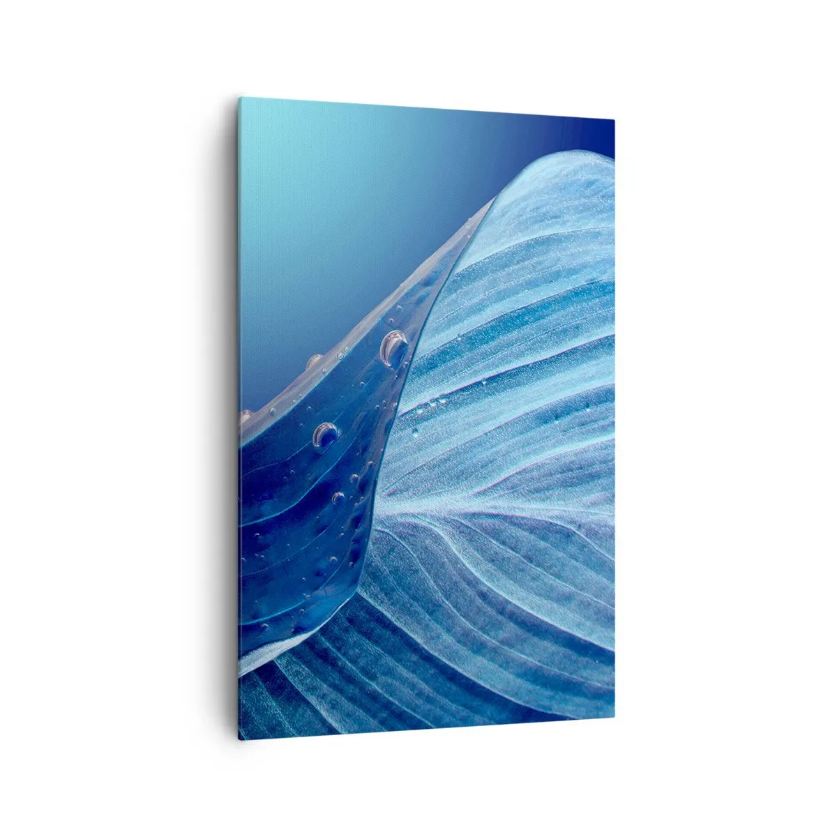 Bild auf Leinwand - Leinwandbild - Ein blaues Blatt mit sichtbaren Wassertropfen - 80x120cm - Versteckte Tropfen vom Blau - Moderne Wanddekoration für Wohnzimmer und Schlafzimmer ARTTOR