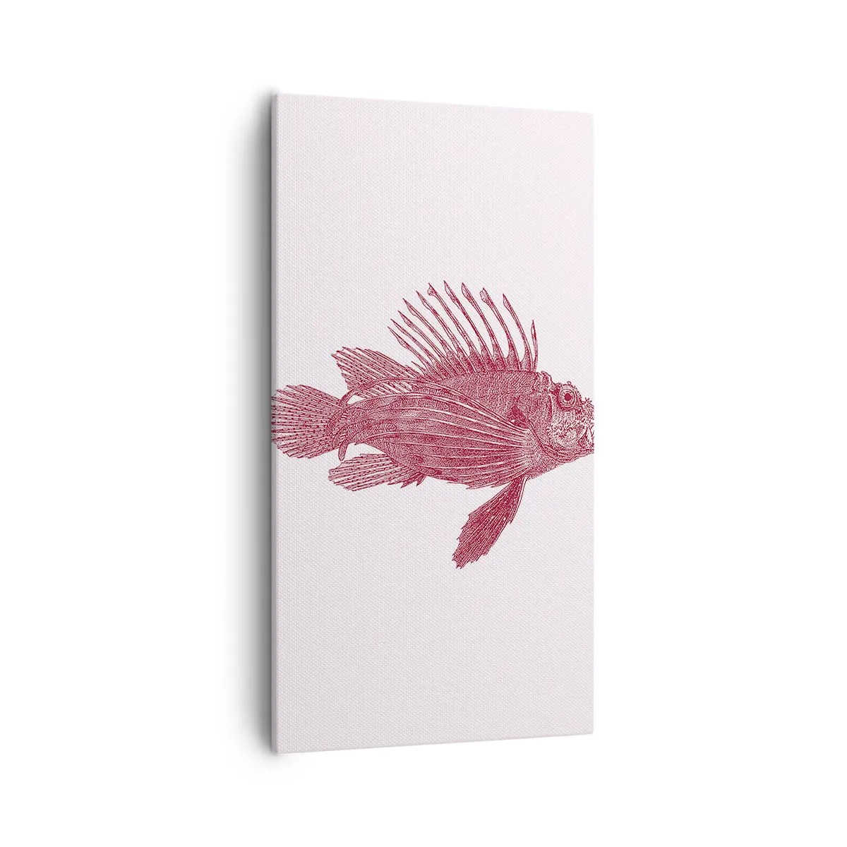 Bild auf Leinwand - Leinwandbild - Bewohner exotischer Gewässer - 55x100 cm