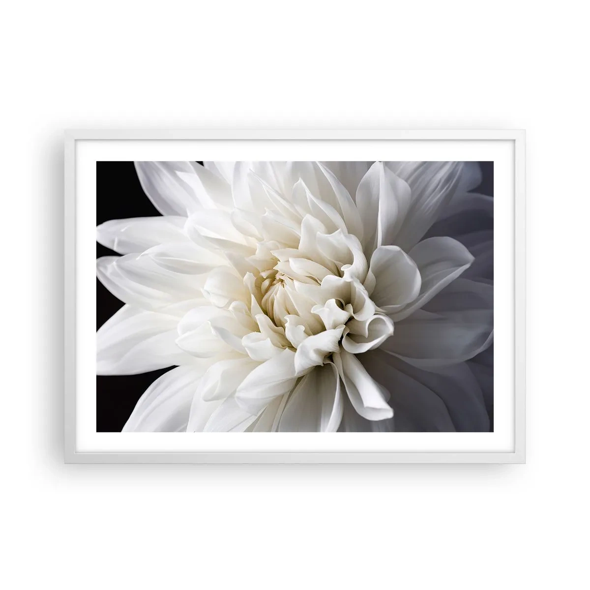 Poster in einem weißen Rahmen - Der Morgen der Braut - 70x50 cm