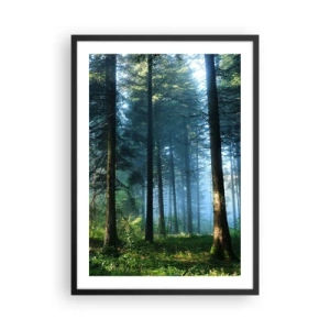 Poster in einem schwarzem Rahmen - Nadelwald in der Morgensonne und leichtem Nebel - 50x70cm - Strahlend am Morgen - Moderne Wanddekoration für Wohnzimmer und Schlafzimmer ARTTOR