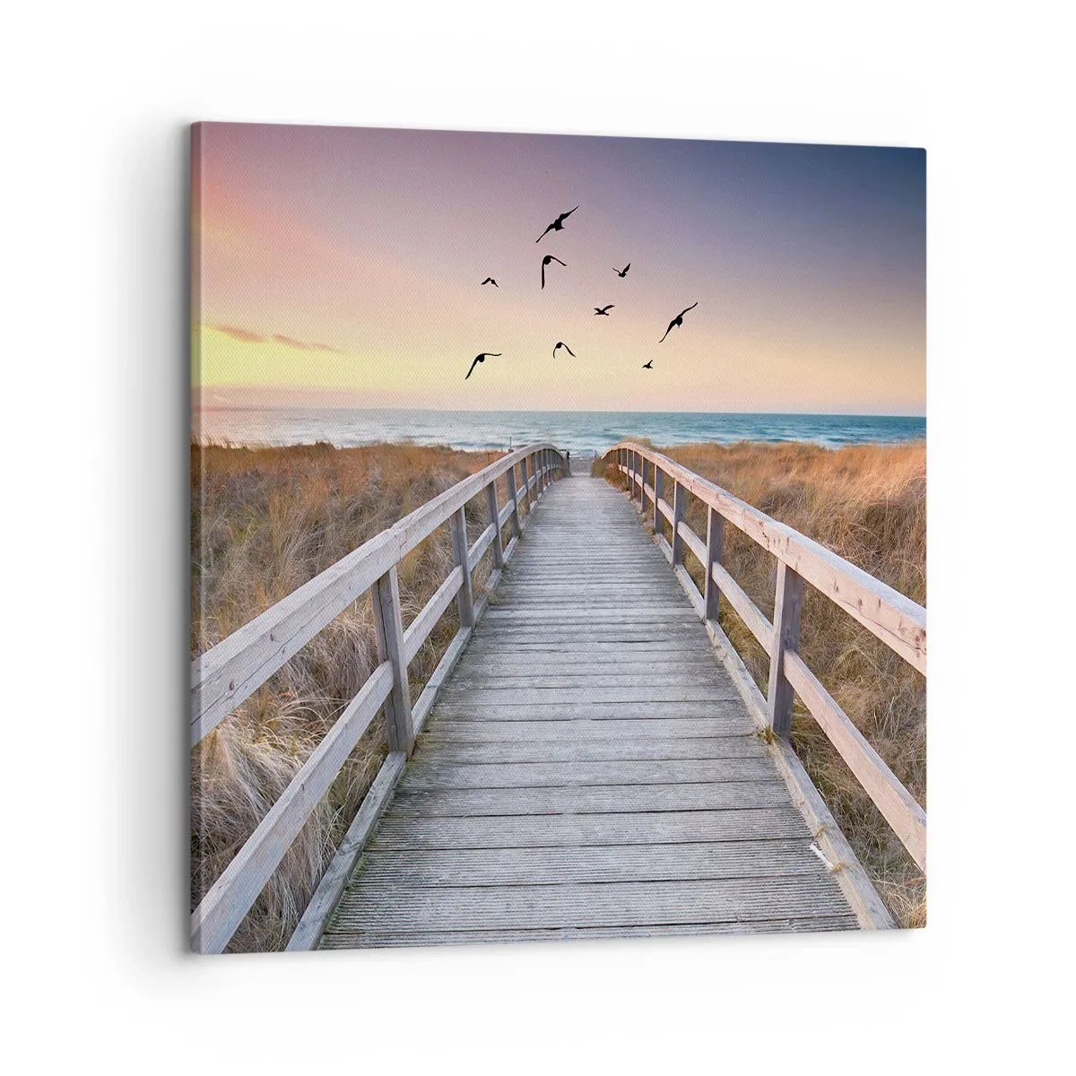 Bild auf Leinwand - Leinwandbild - Der Raum für Auffliegen - 60x60 cm