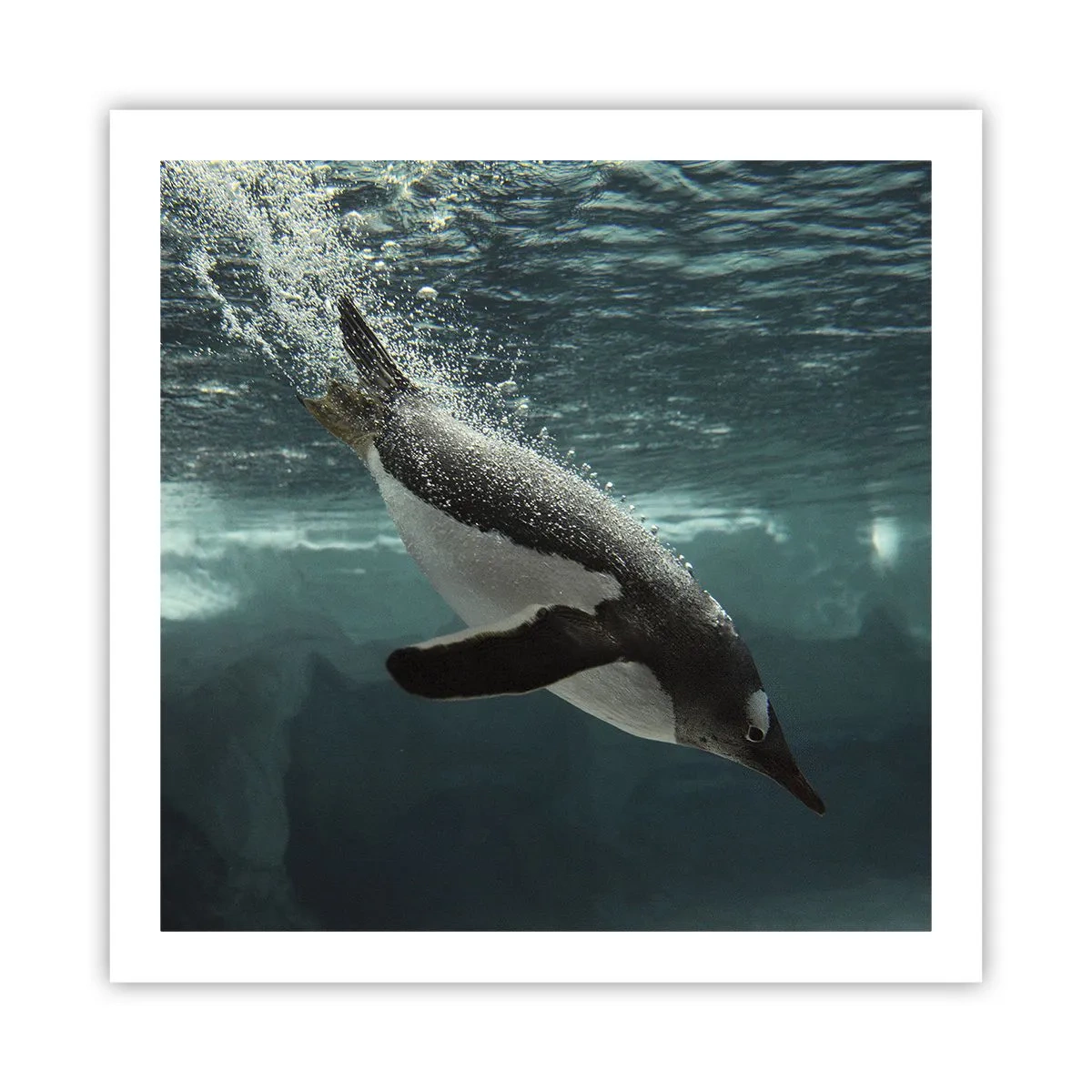 Poster - Willkommen in meiner Welt - 60x60 cm