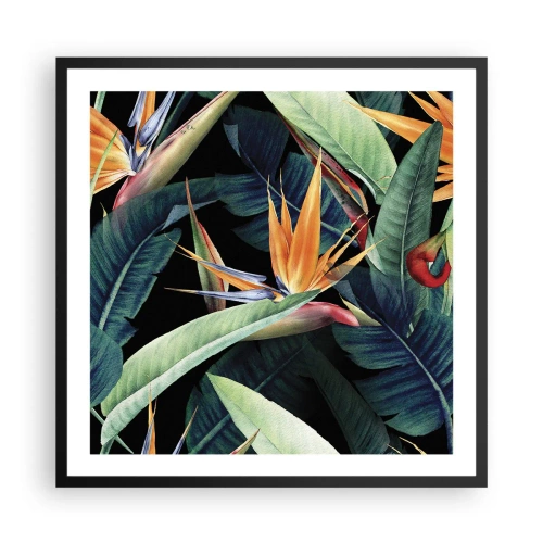 Poster in einem schwarzem Rahmen - Flammende Blumen der Tropen - 60x60 cm
