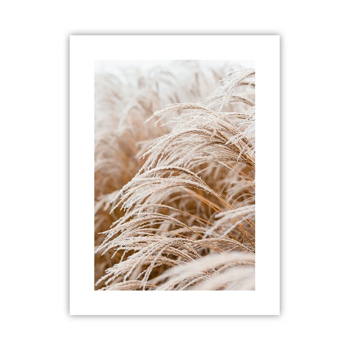 Poster - Verbeuge dich vor der Herbstsonne - 30x40 cm