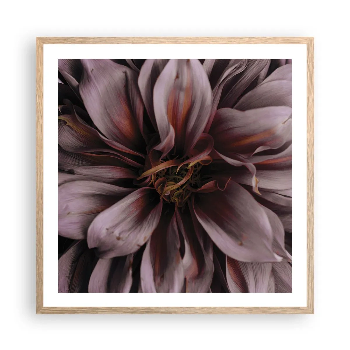 Poster in einem Rahmen aus heller Eiche - Ein Blumenherz - 60x60 cm