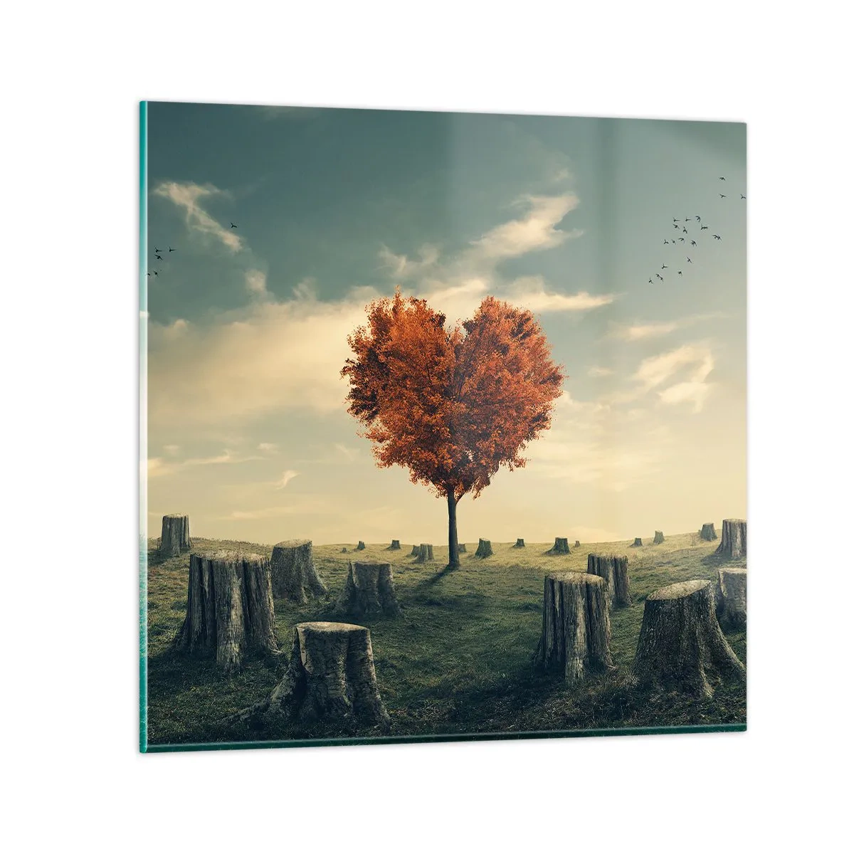 Glasbild - Bild auf glas - Es gibt noch Hoffnung - 60x60 cm